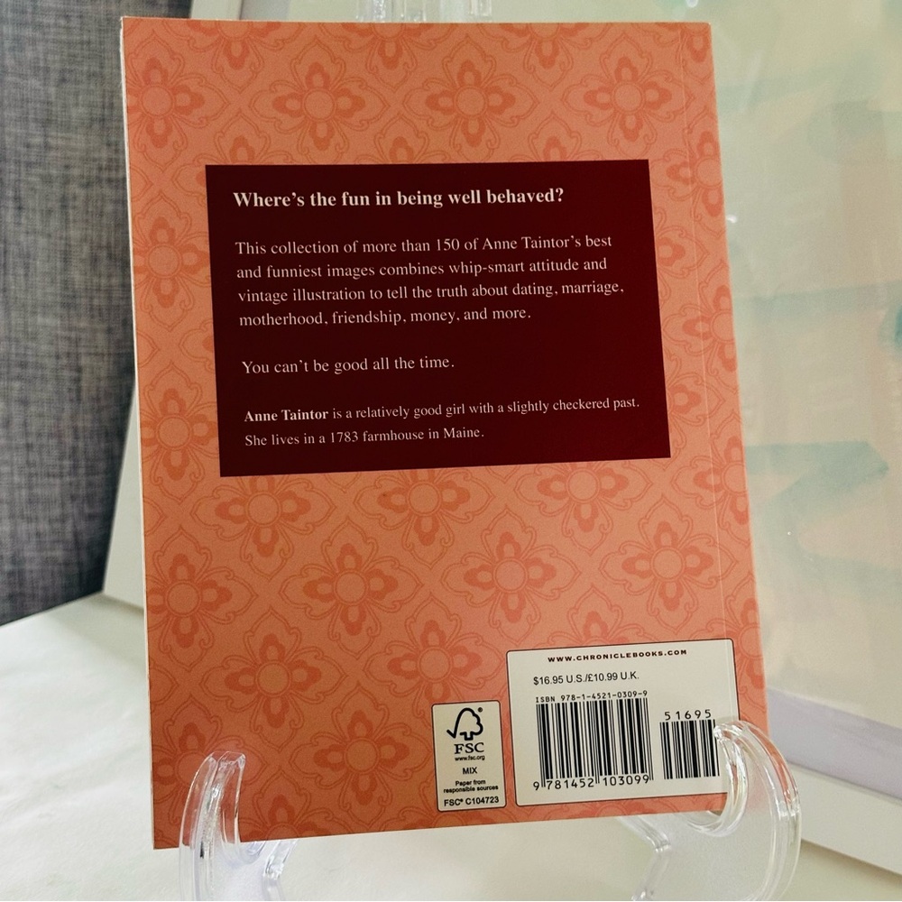 NEW Someone Has To Set A Bad Example An Anne Taintor Collection Paperback Book - Picture 15 of 15